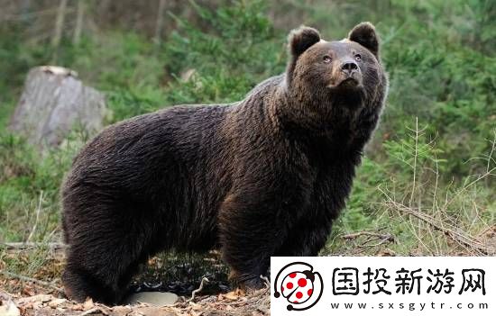 每日私密马赛