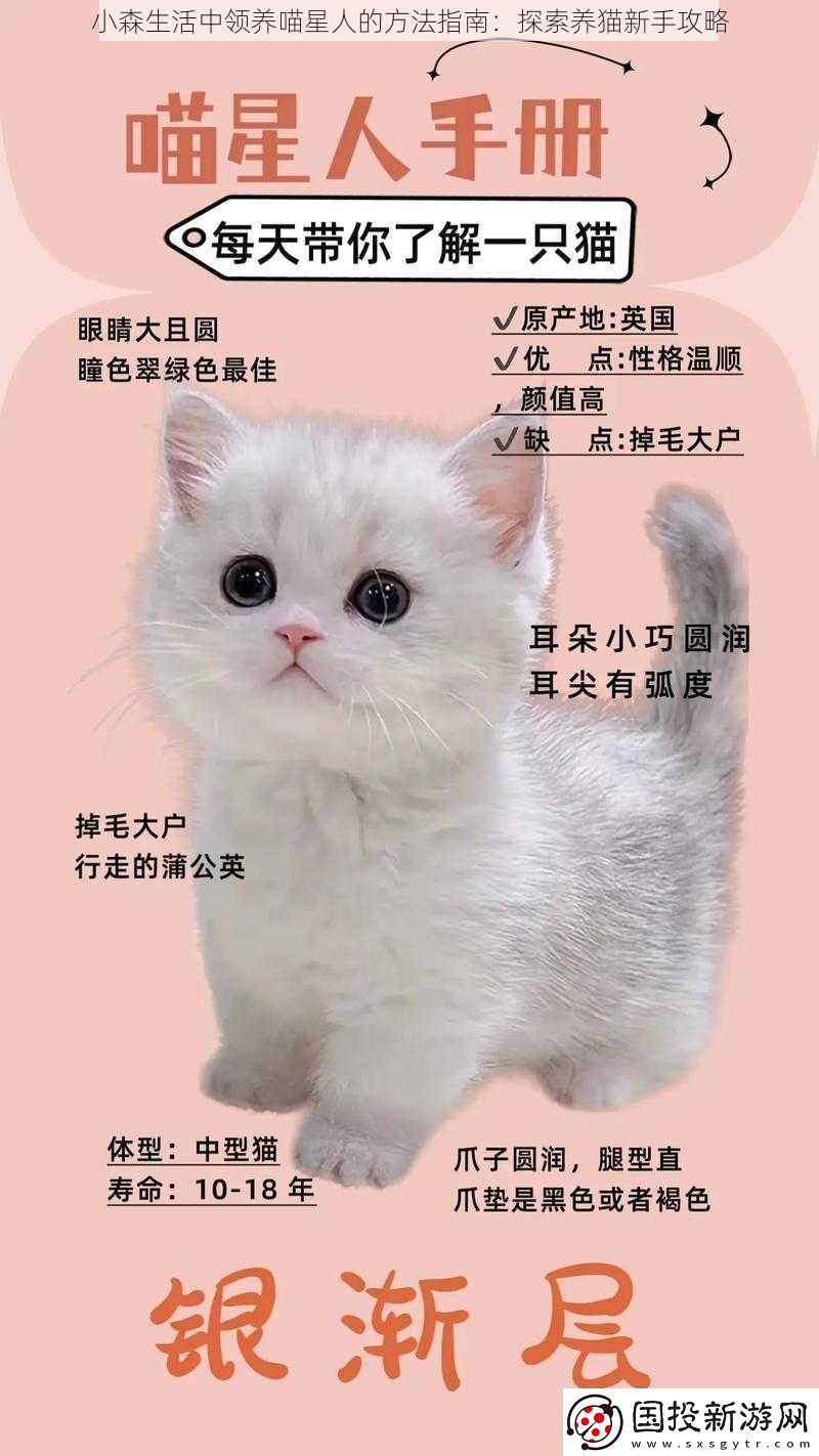 小森生活中领养喵星人的方法指南