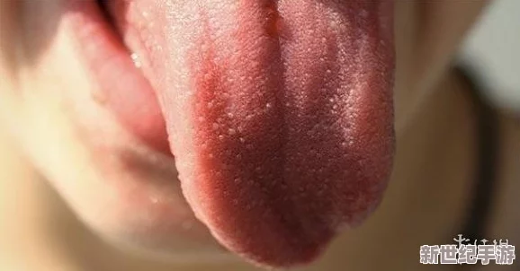 探索感官的极致体验