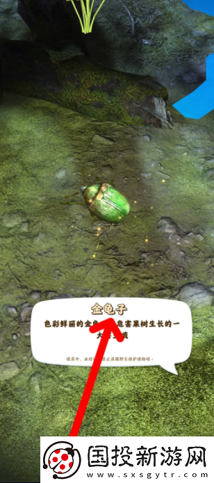 道具合成夺笋高手怎么抓虫夺笋高手如何抓捕昆虫金龟子