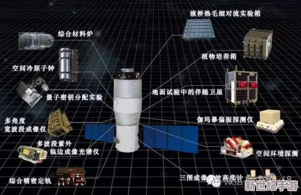 探索网络世界