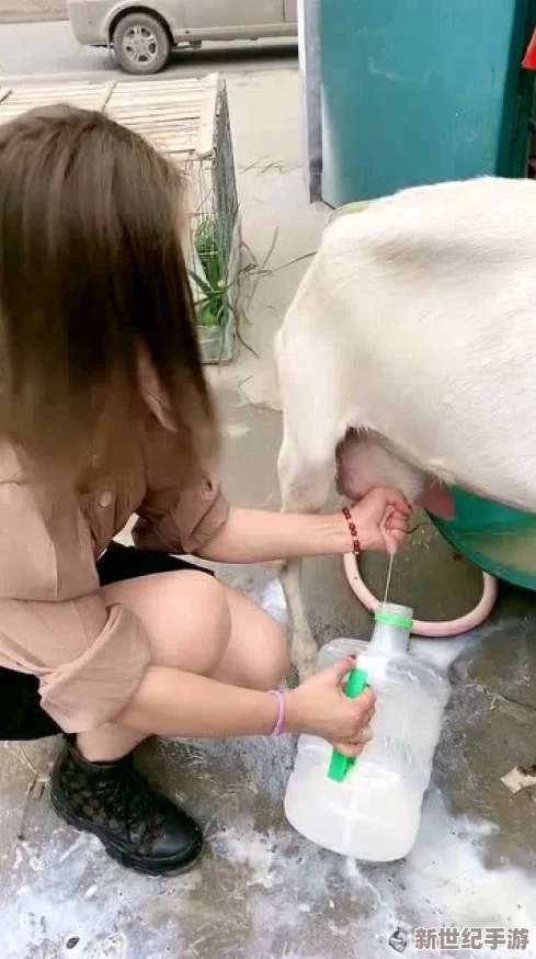 国产美女挤奶水在线观看