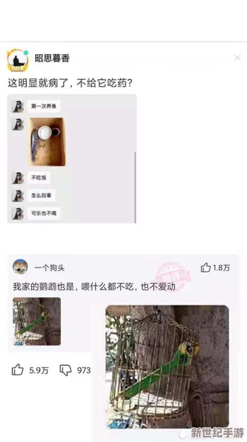 女人操男人视频引发热议