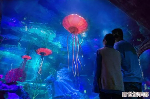 探索午夜湿影院多多影院的奇幻之旅
