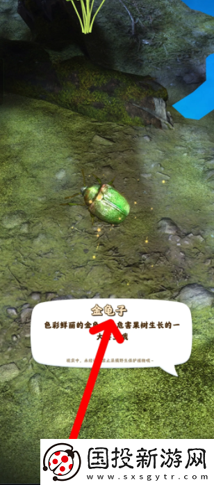 【道具合成】夺笋高手怎么抓虫