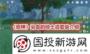 原神血染骑士套在哪里获取