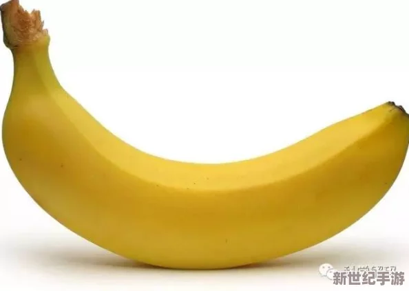 探索久久香蕉国产线看观看式的独特魅力与精彩内容