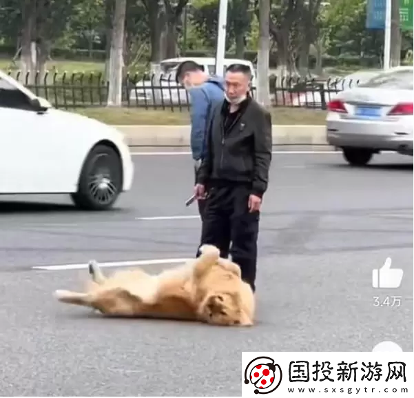 站岗小狗什么梗