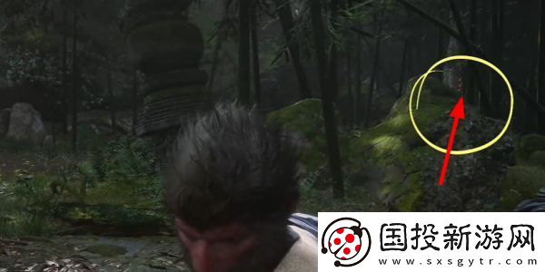黑神话悟空落伽香藤在哪里获取