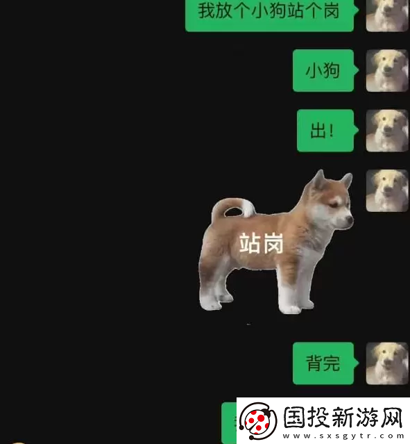 站岗小狗什么梗