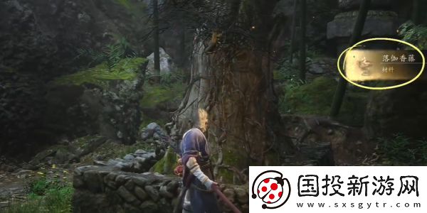 黑神话悟空落伽香藤在哪里获取