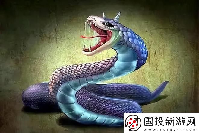 探寻“蛇王的尾巴高ah”的神秘传说