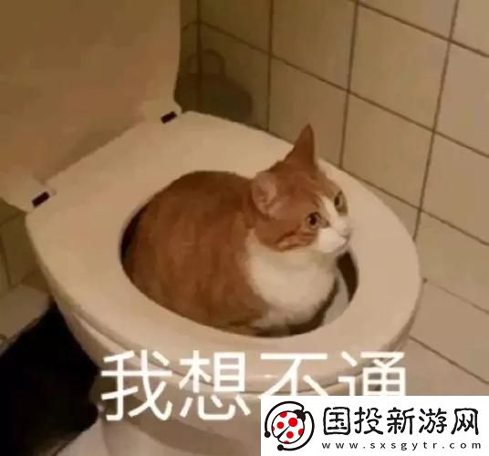 生日花落归途