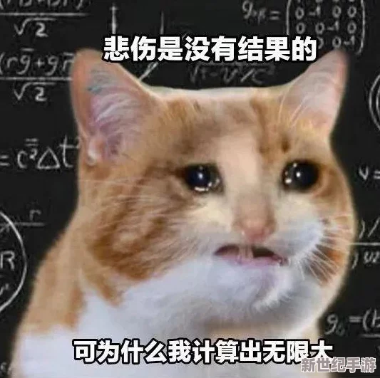 4虎换哪个网名了