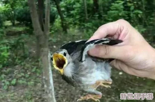 男人ji进入女人鸡免费视频网友认为这种内容不应被传播应该加强对网络**内容的监管保护青少年免受不良影响