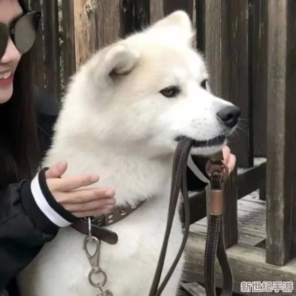 在生活的喧嚣中