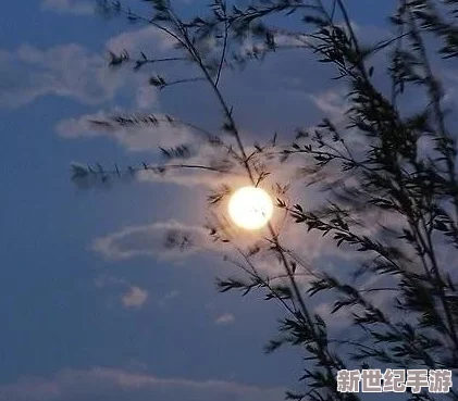 今夜就让我狠狠地想你歌曲网友纷纷表示这首歌旋律动人