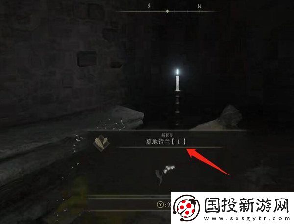 艾尔登法环墓地铃兰位置介绍