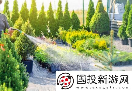 探索hp公交车灌溉系统几个装修工人的决策与挑战