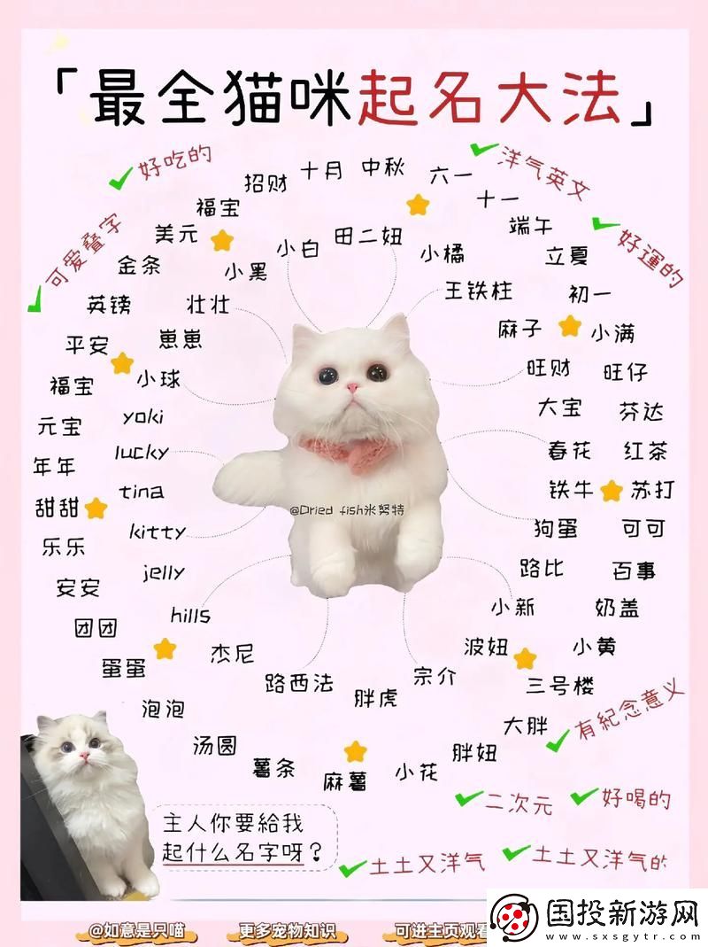 探索猫咪的乐园——喵咪最新地域名推荐