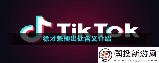 徐才魁是什么梗
