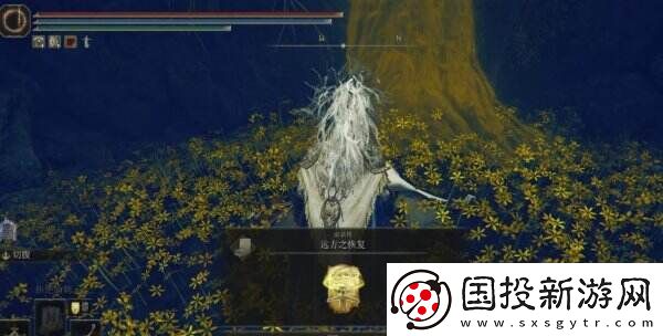 艾尔登法环祷告远方之恢复在哪里获得