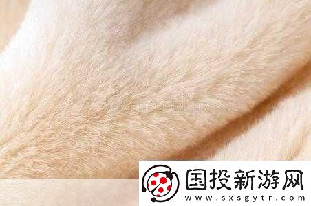 AAAA级毛皮最简单三个标志改版惊艳