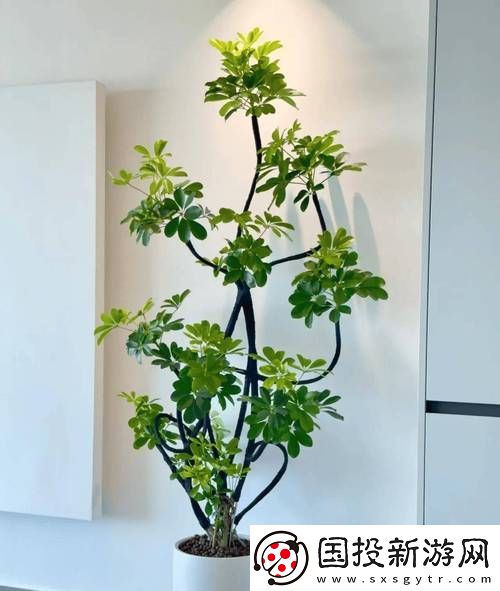 坐着扦B有什么好处