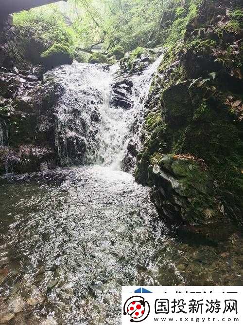 战队组建合作艺术
