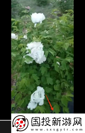 剪映已删除视频怎么找回