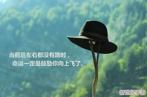 在激情与挑战中