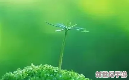 久久99草