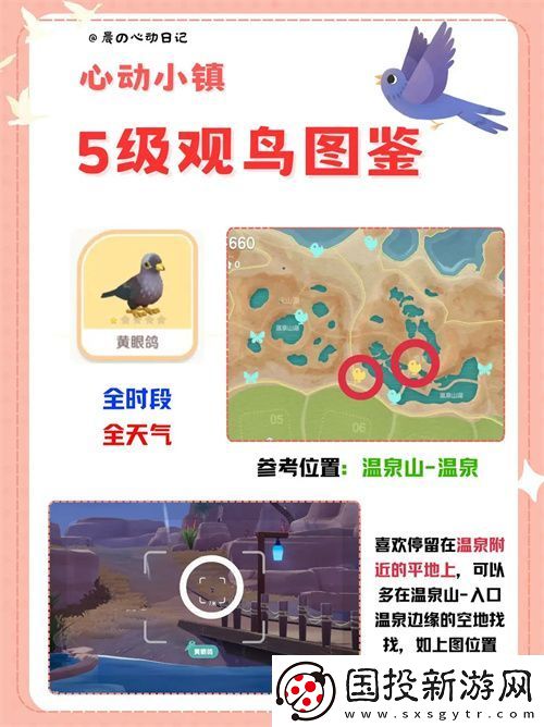 心动小镇五级观鸟详细位置整理一览
