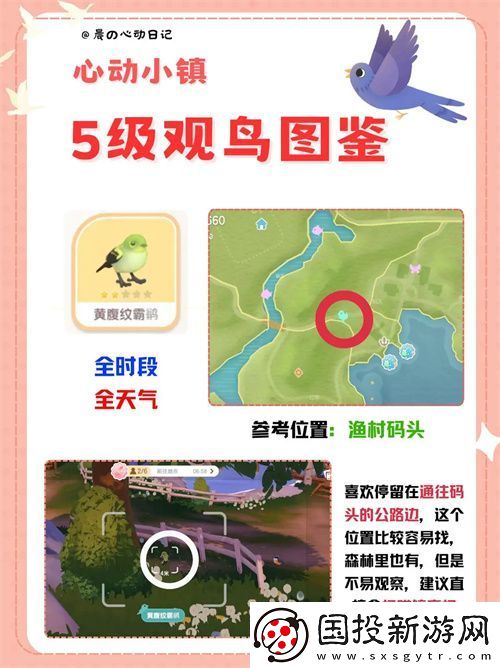 心动小镇五级观鸟详细位置整理一览