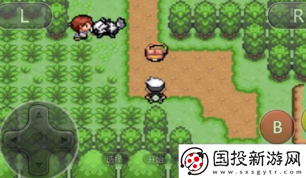 口袋妖怪究极绿宝石5.5精灵在什么地方