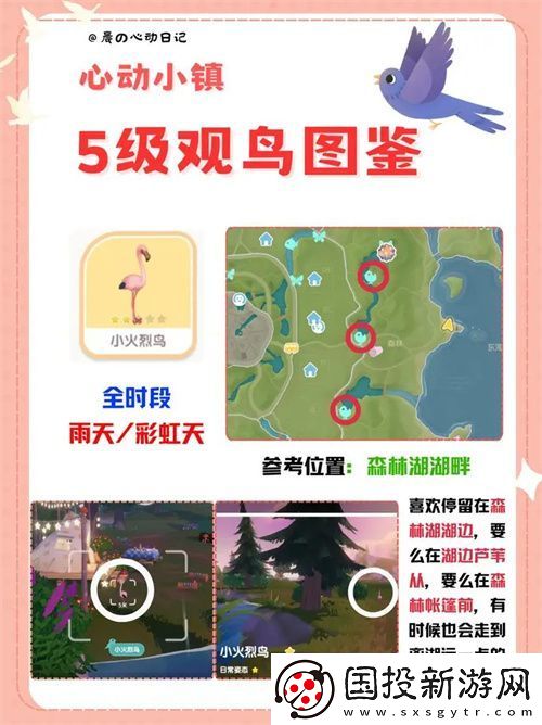 心动小镇五级观鸟详细位置整理一览