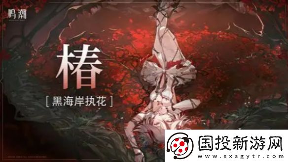 鸣潮洛可可怎么配队
