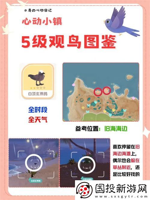 心动小镇五级观鸟详细位置整理一览