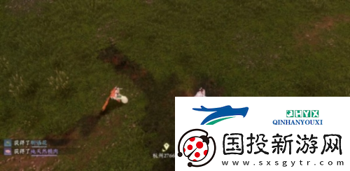 逆水寒手游仙居原动物好感度怎么提升