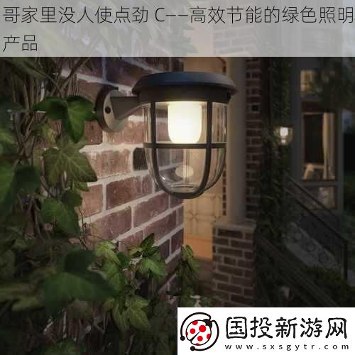 哥家里没人使点劲