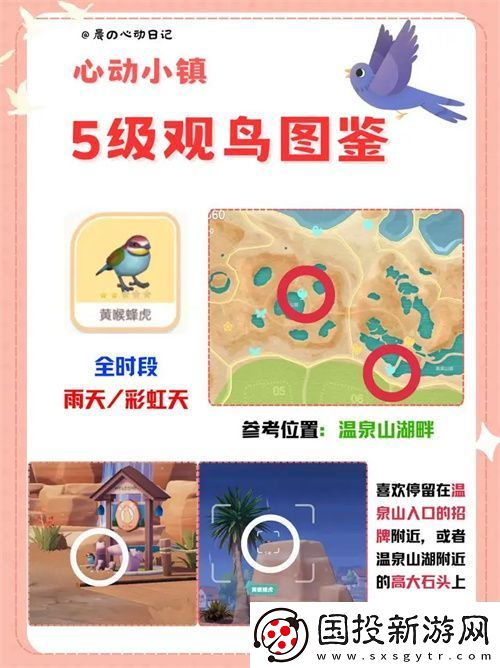 心动小镇五级观鸟详细位置整理一览