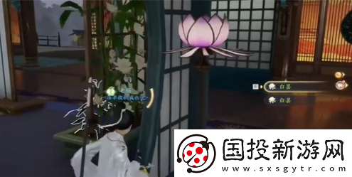 射雕手游白昙夜幽在哪