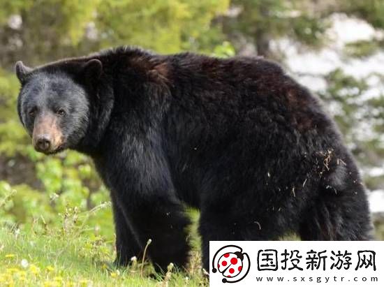 你敢信吗