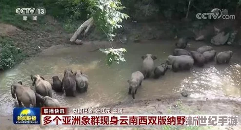 爽好大快深点一