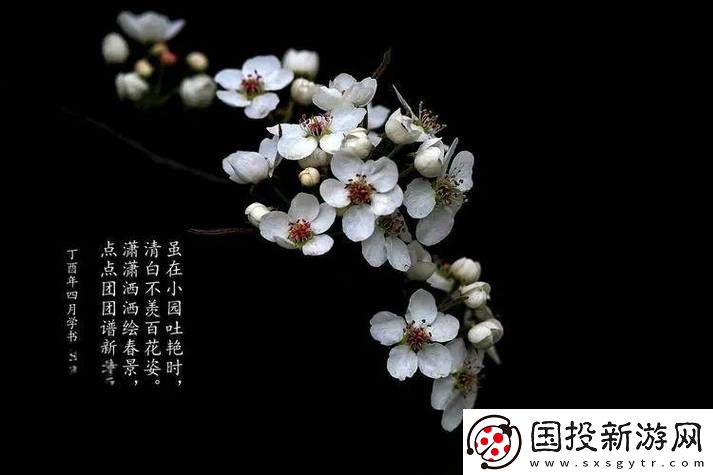 探索生命的柔情——只在梨花春雨处n