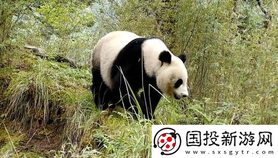 你敢信吗