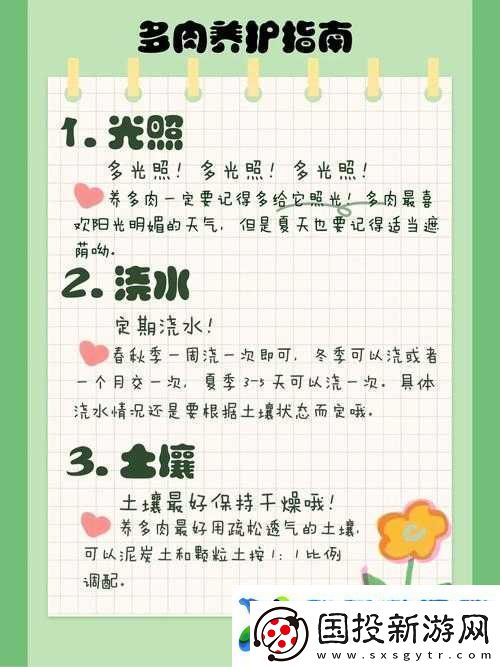 皇家共享小公主多肉怎么养多肉秘籍之详细养护指南与要点