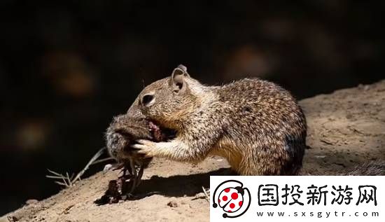 你敢信吗