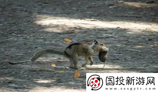 你敢信吗