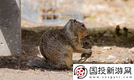 你敢信吗